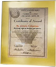 vy domingo award-certificate